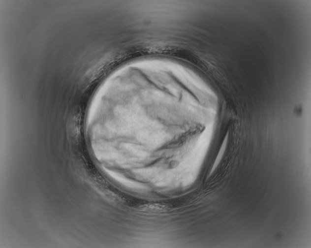 X0000116760691201001071155