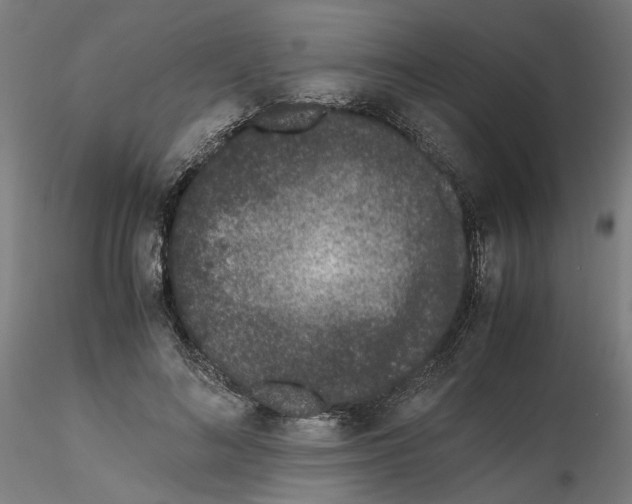 X0000116760692201001071155