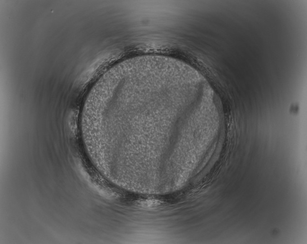 X0000116760695201001071155