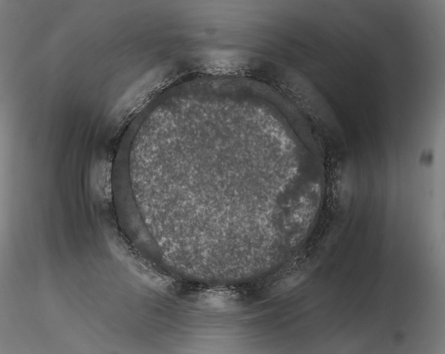 X0000116760696201001071155