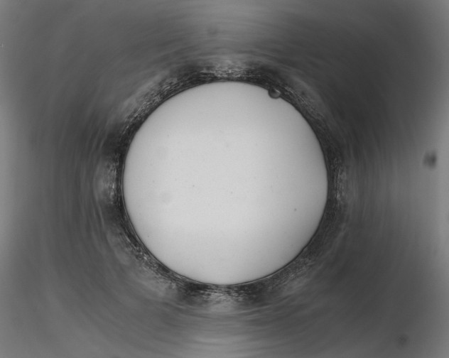 X0000116760697201001071155