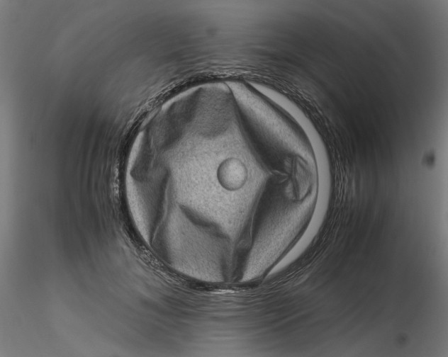 X0000116760700201001071155