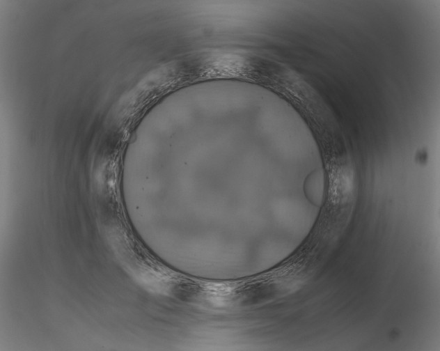 X0000116760701201001071155