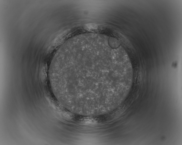 X0000116760702201001071155