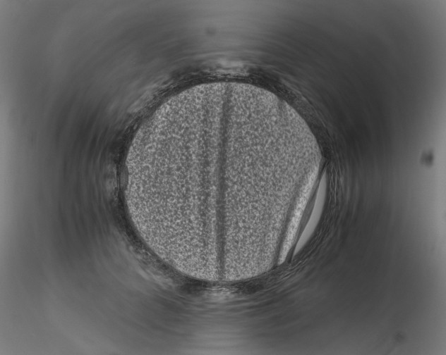 X0000116760704201001071155