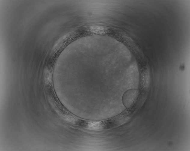 X0000116760705201001071155