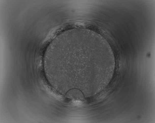 X0000116760706201001071155