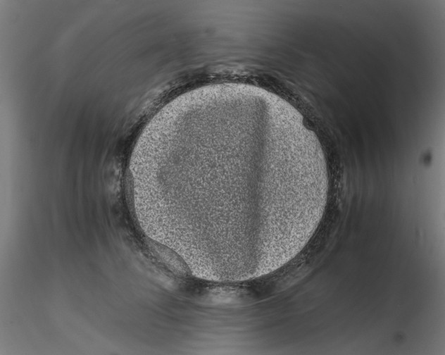 X0000116760708201001071155