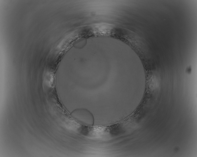 X0000116760709201001071155