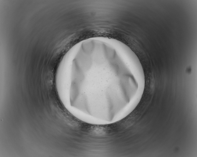 X0000116760710201001071155