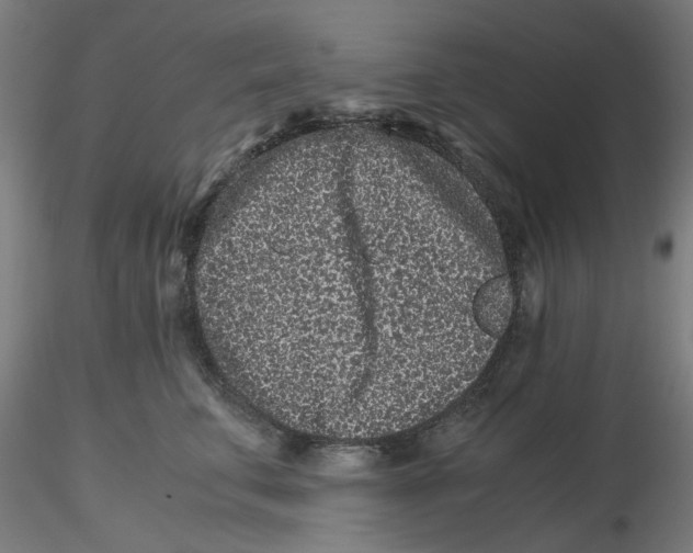 X0000116760711201001071155