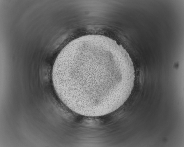 X0000116760712201001071155