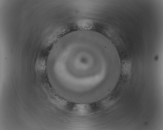 X0000116760713201001071155