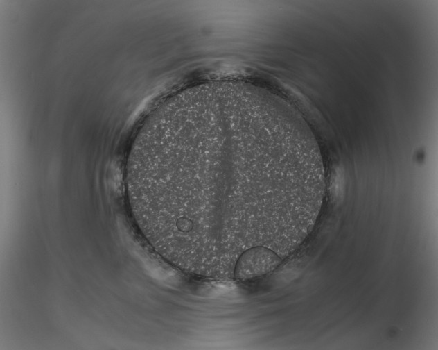 X0000116760715201001071155