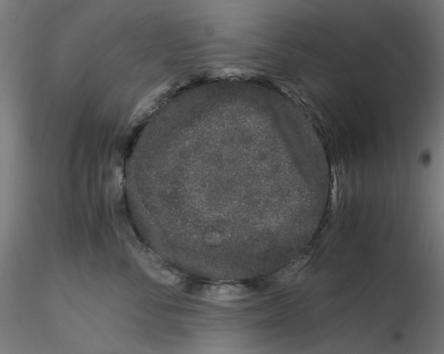 X0000116760716201001071155