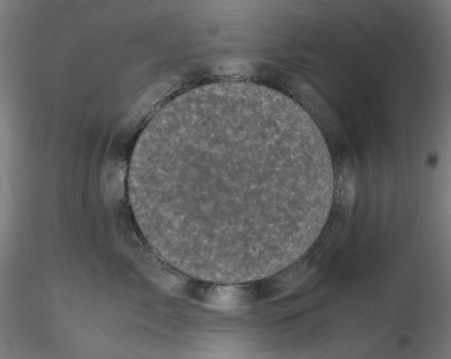 X0000116760717201001071155