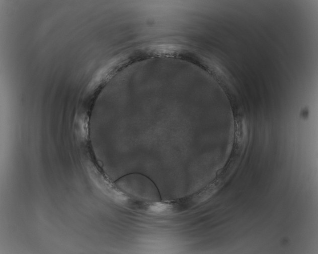 X0000116760718201001071155