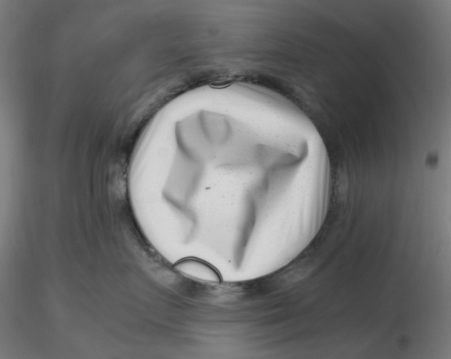 X0000116760719201001071155