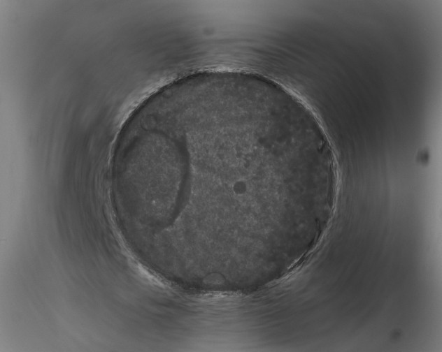 X0000116760721201001071154