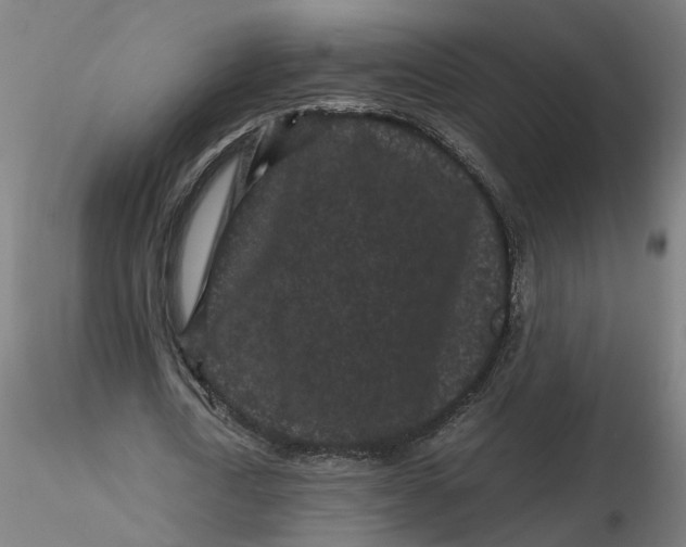 X0000116760722201001071154