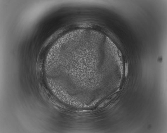 X0000116760723201001071154