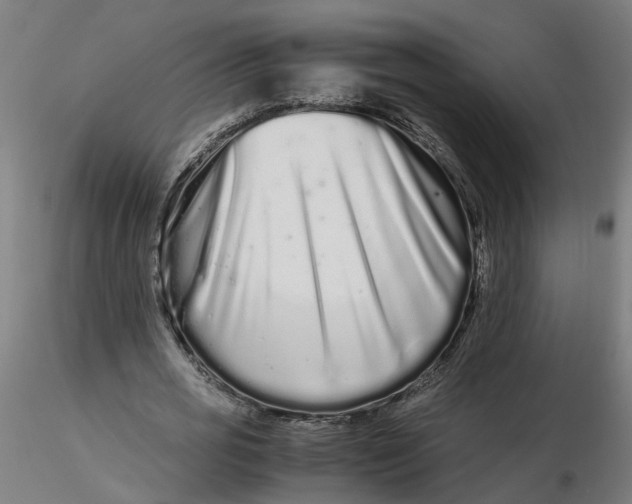 X0000116760725201001071154