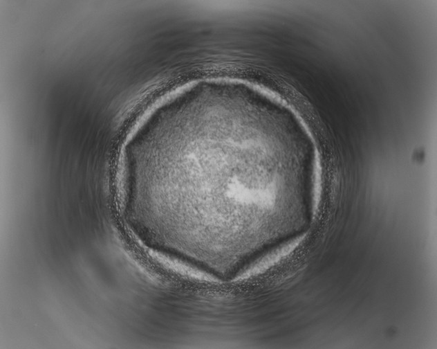 X0000116760729201001071154