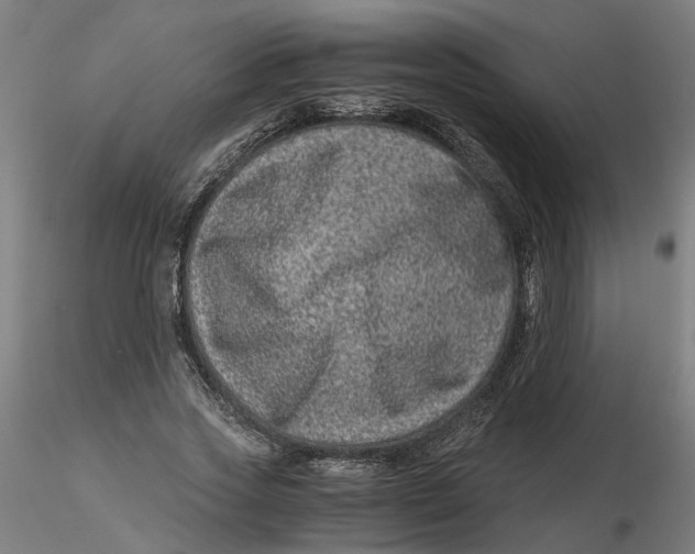 X0000116760733201001071155