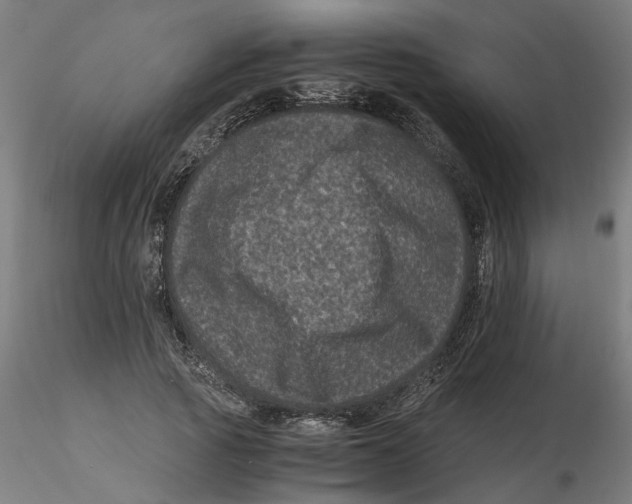 X0000116760737201001071155