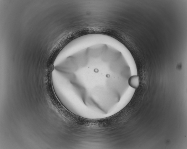 X0000116760738201001071155