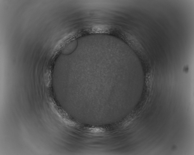 X0000116760741201001071155