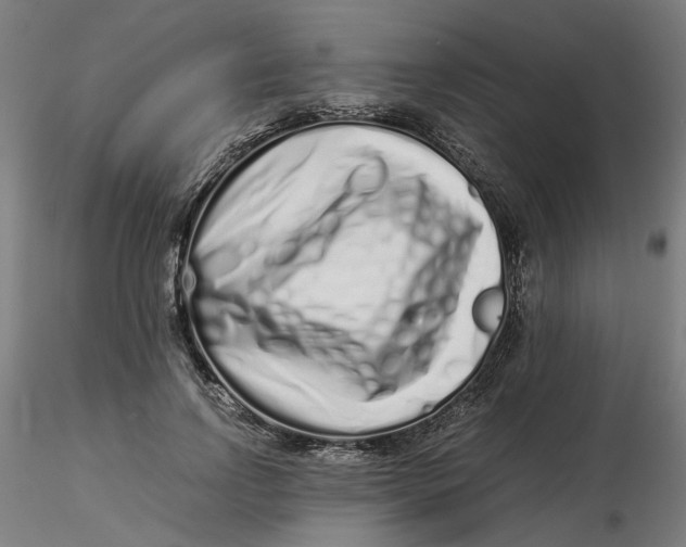 X0000116760742201001071155