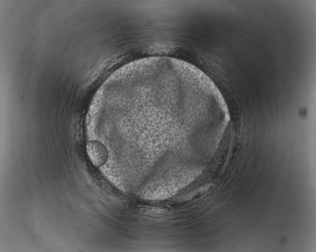 X0000116760743201001071155