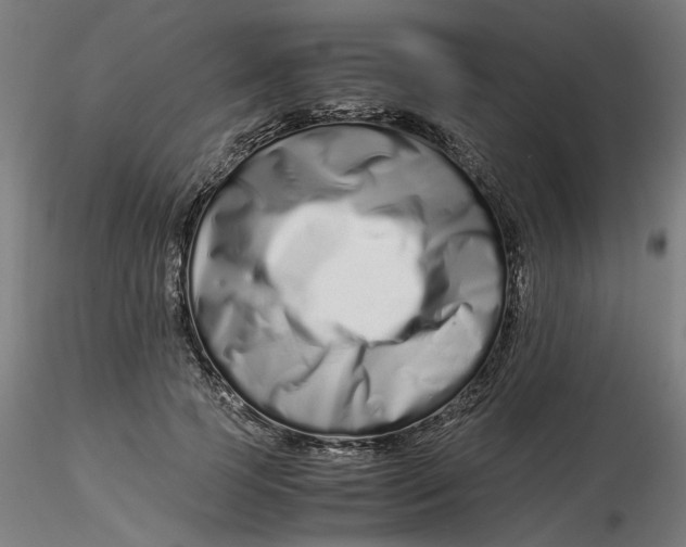 X0000116760745201001071155