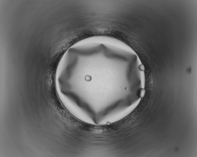 X0000116760746201001071155