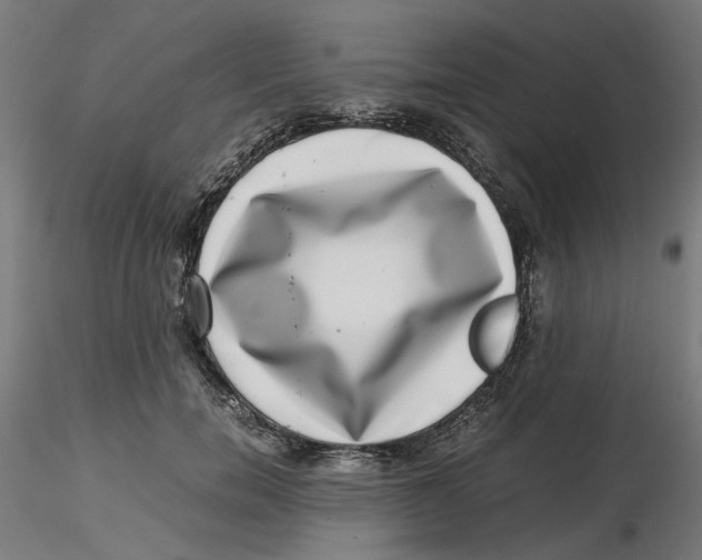 X0000116760750201001071155