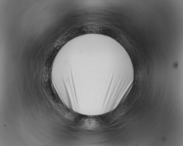 X0000116760751201001071155