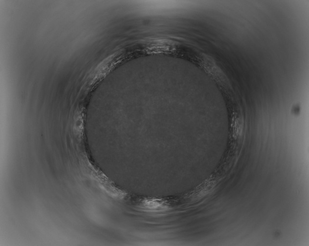 X0000116760753201001071155