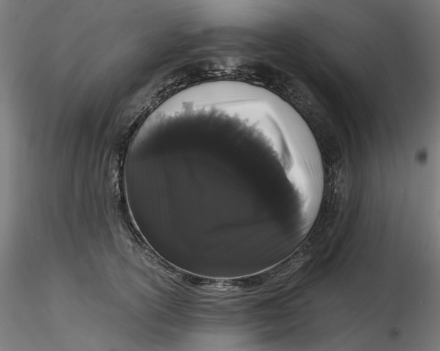 X0000116760754201001071155