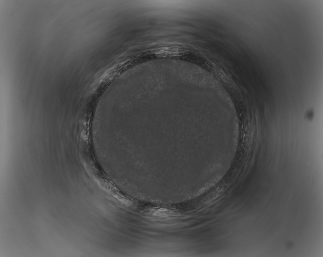 X0000116760755201001071155