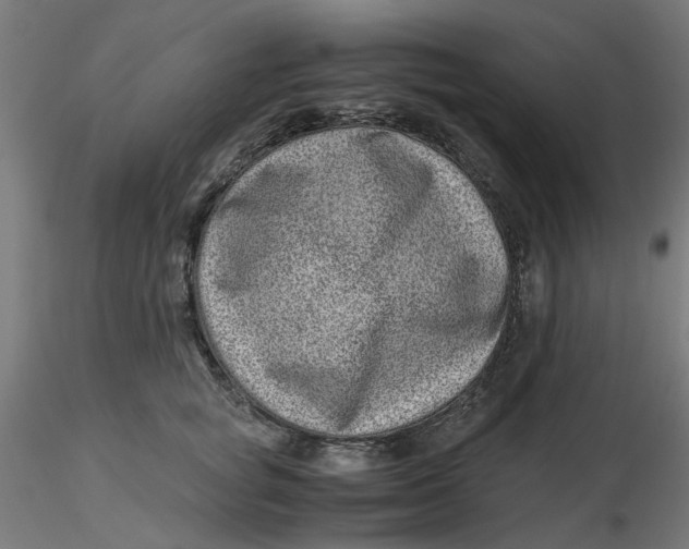 X0000116760757201001071155