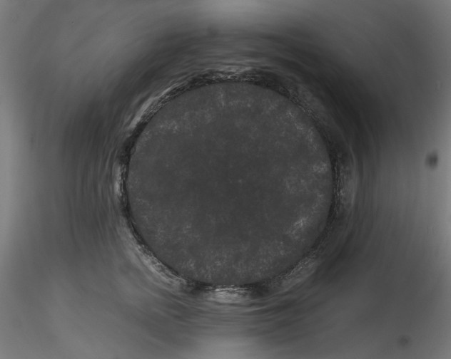 X0000116760758201001071155