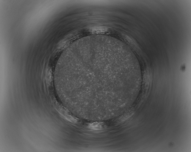 X0000116760761201001071155