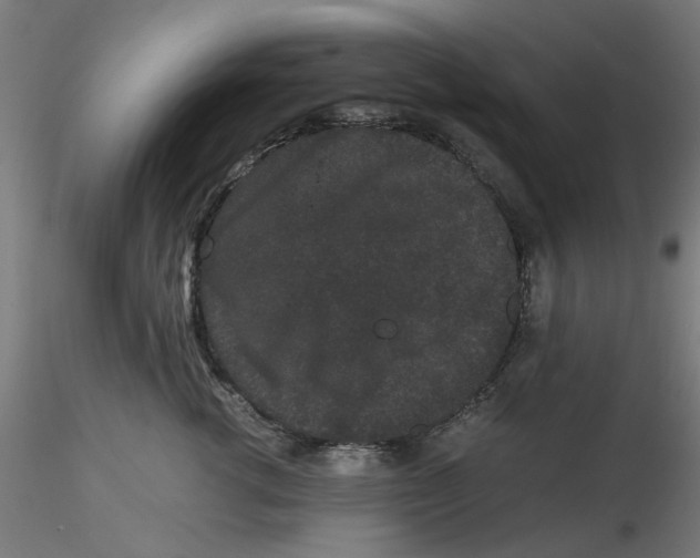 X0000116760762201001071155