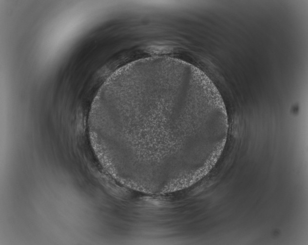 X0000116760763201001071155