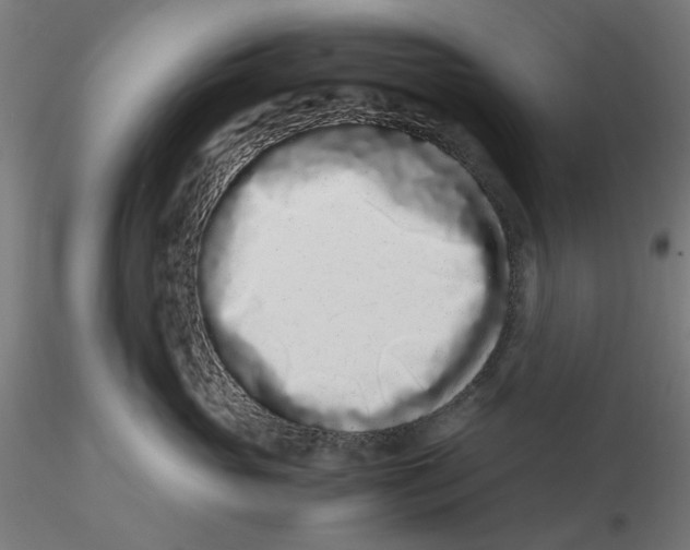 X0000116760765201001071155