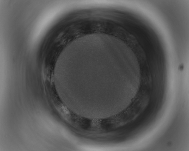 X0000116760766201001071155