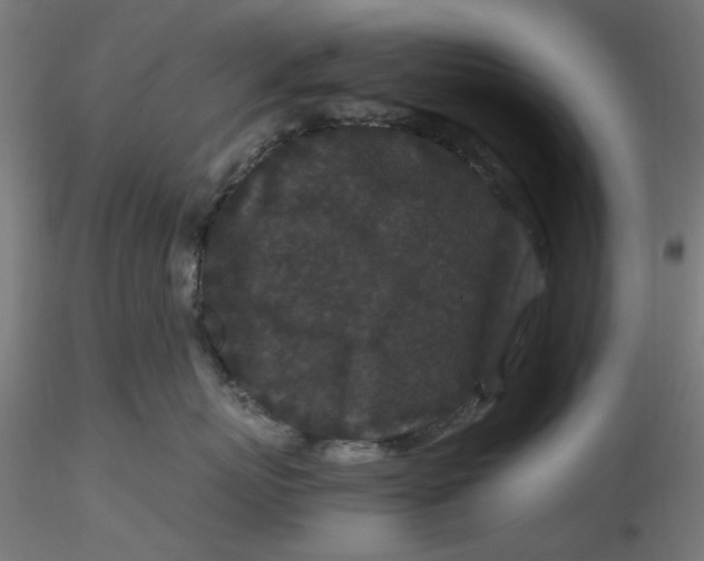 X0000116760767201001071155