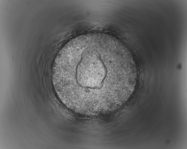 X0000116760769201001071154