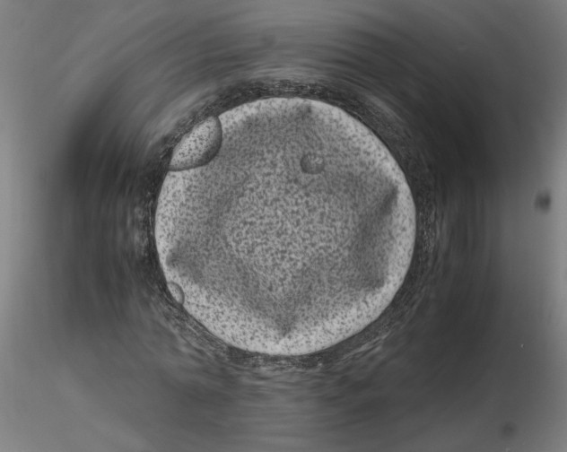 X0000116760774201001071154